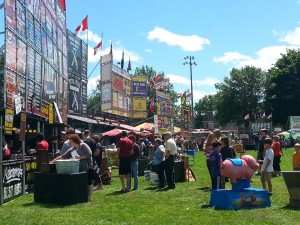 2013 PICTURE GALLERY
