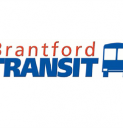 Why not take the transit